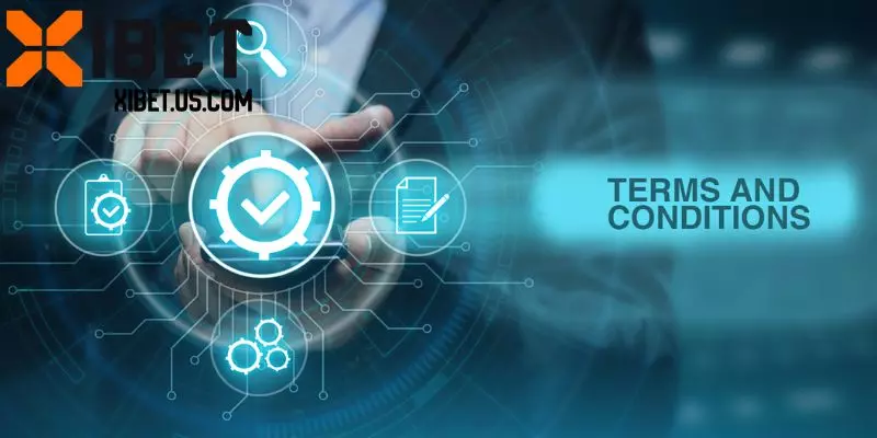 Chi tiết các nội dung áp dụng trong điều kiện và điều khoản Xibet