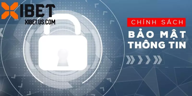 Điều khoản trong chính sách bảo mật Xibet về dữ liệu cá nhân khách hàng