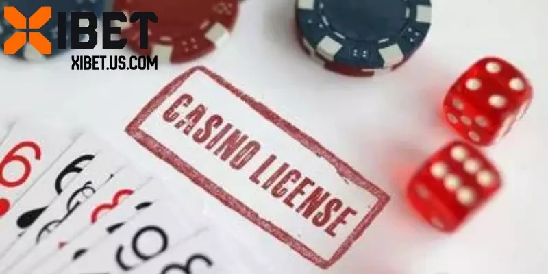 Thông tin khái quát chung về giấy phép hoạt động Xibet
